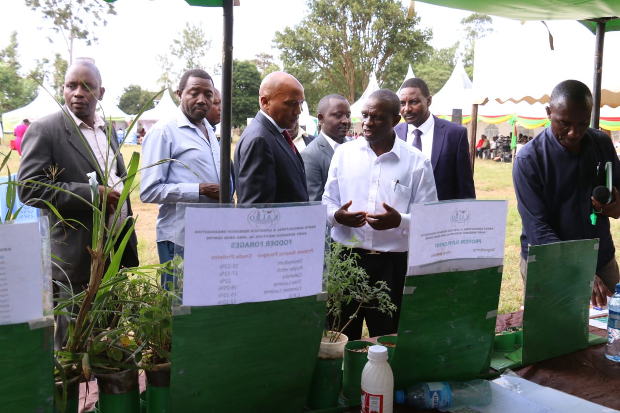 COUNTY GOVERNMENT TO SUPPORT DAIRY FARMING IN A BID TO MEET RISING DEMAND