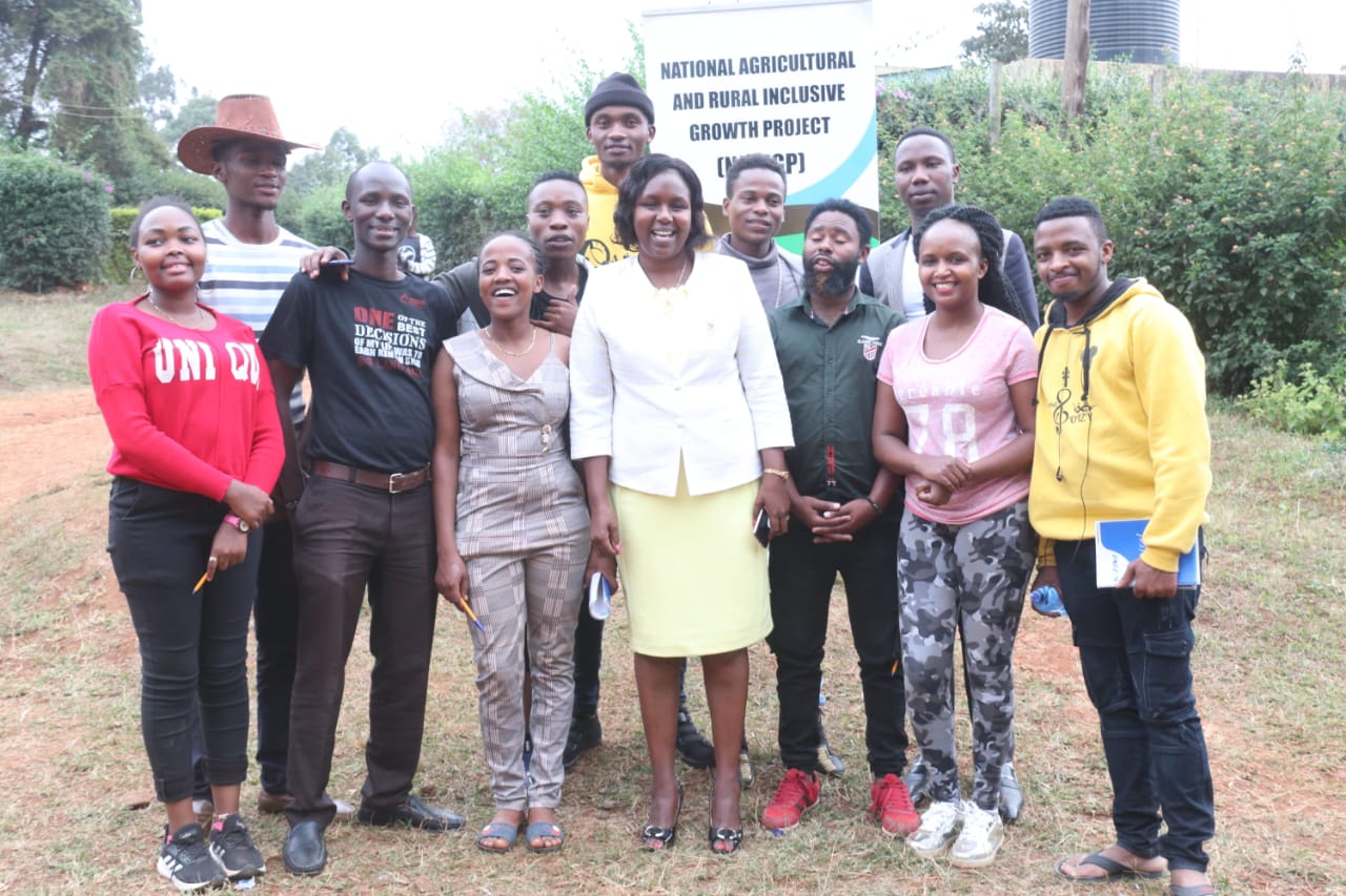 Meru Youth Empowered Agriculturaly