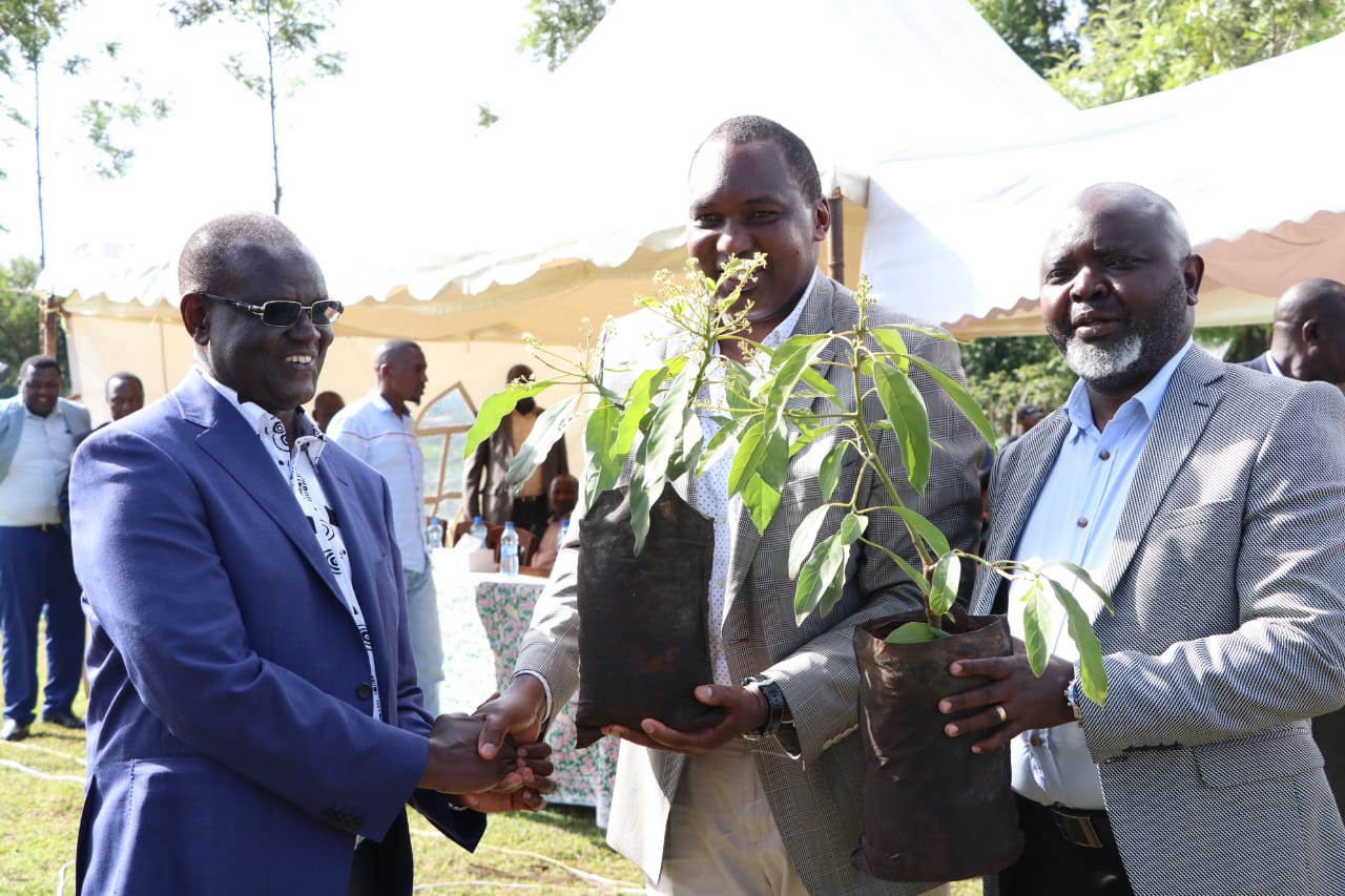 RESIDENTS URGED TO PLANT AVOCADO AND MACADAMIA DURING THE RAINY SEASON.