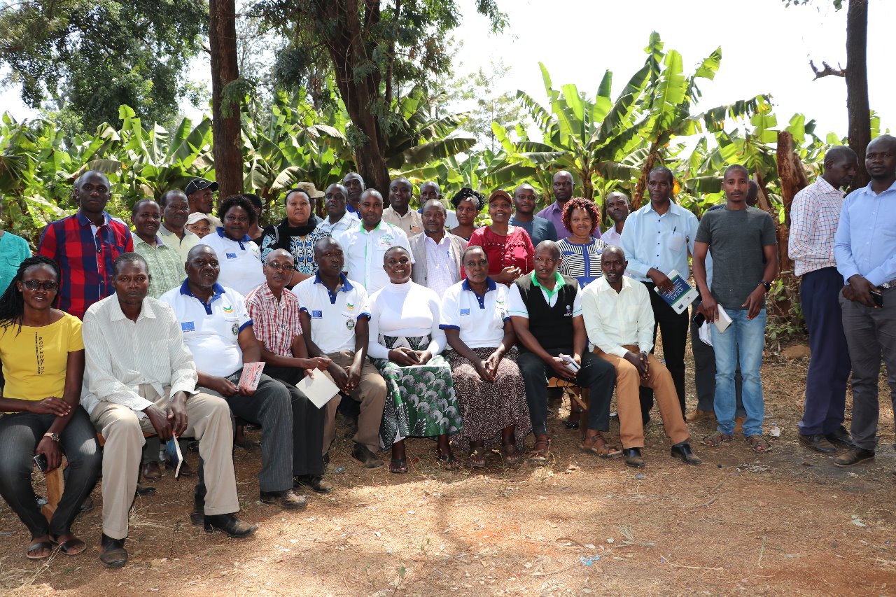 KISII COUNTY BENCHMARKS ON BANANA PRODUCTION AND VALUE ADDITION