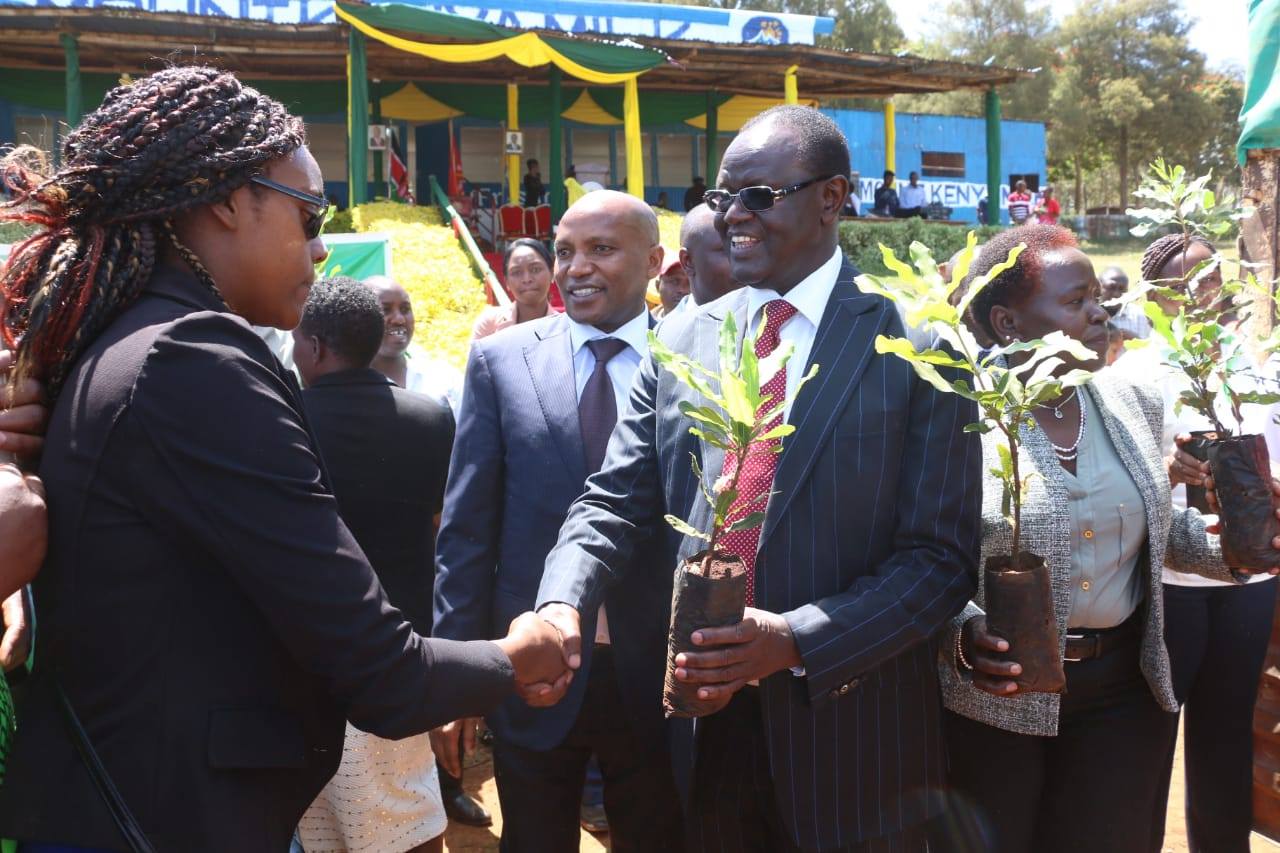 GOVERNOR KIRAITU MURUNGI URGES MIRAA FARMERS TO PLANT MACADAMIA AND AVOCADOS ALONGSIDE MIRAA CROP