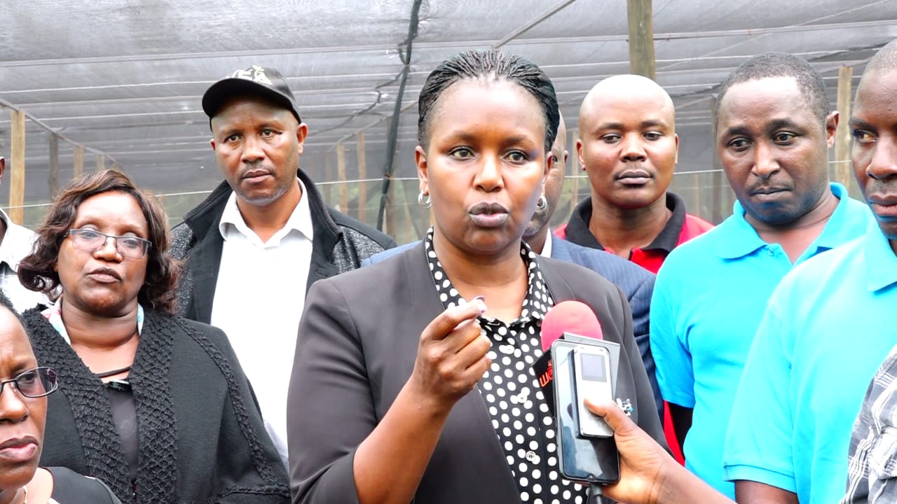 County Government establishes certified macadamia and avocado seedlings buying Center to save farmers from poor quality seedlings.