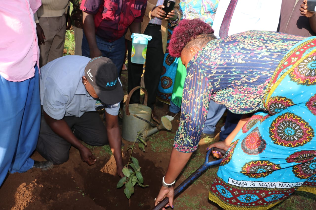 CEC Water leads residents in a tree planting exercise in a bid to protect water catchments.