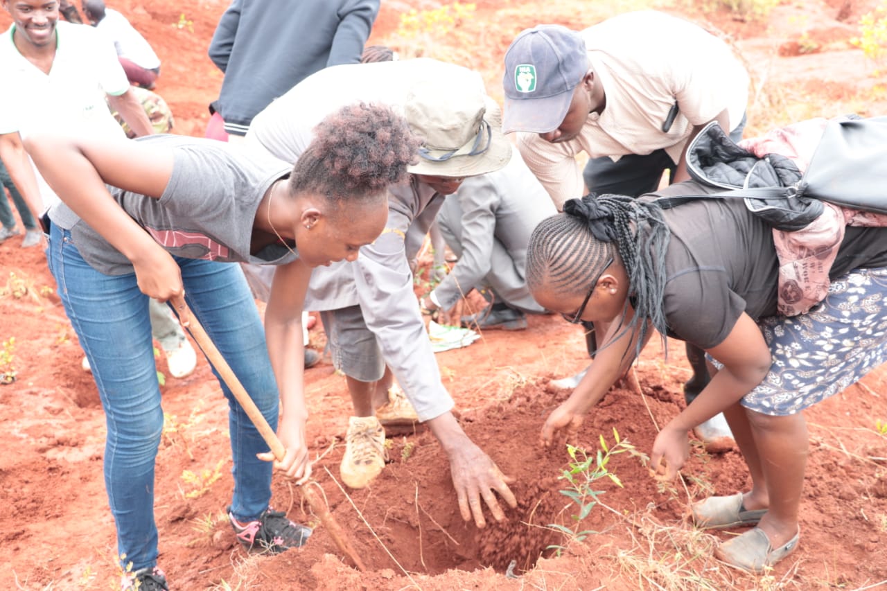 County partners with key stakeholders to rehabilitate Kuani hill.