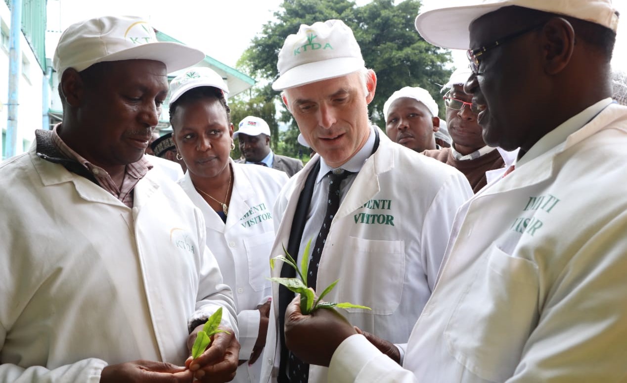 European Union (EU) to support coffee and milk farmers in Meru County.