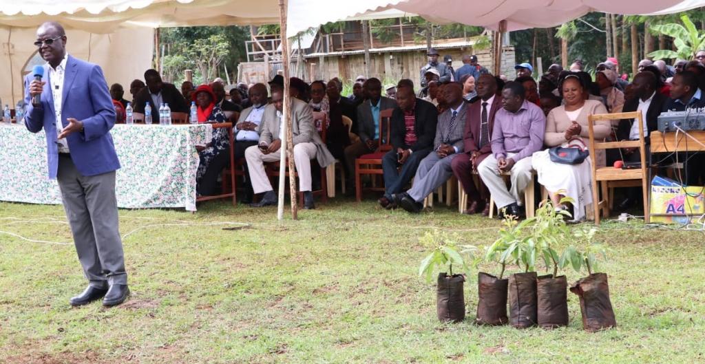 RESIDENTS URGED TO PLANT AVOCADO AND MACADAMIA DURING THE RAINY SEASON.
