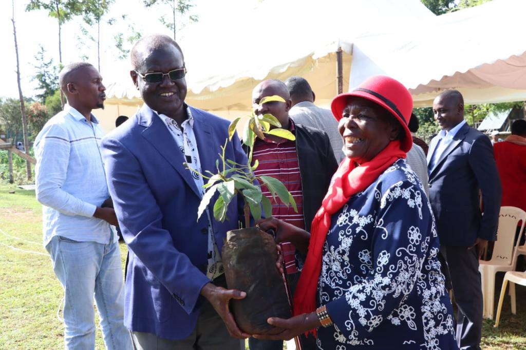 RESIDENTS URGED TO PLANT AVOCADO AND MACADAMIA DURING THE RAINY SEASON.
