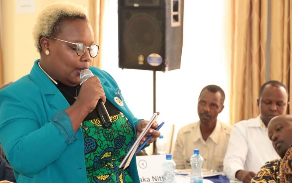 COUNTY PLEDGES CLOSE WORKING RELATIONSHIP WITH USAID TO FOSTER SELF RELIANCE IN DEVELOPMENT.