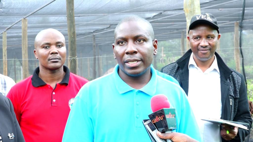 County Government establishes certified macadamia and avocado seedlings buying Center to save farmers from poor quality seedlings.