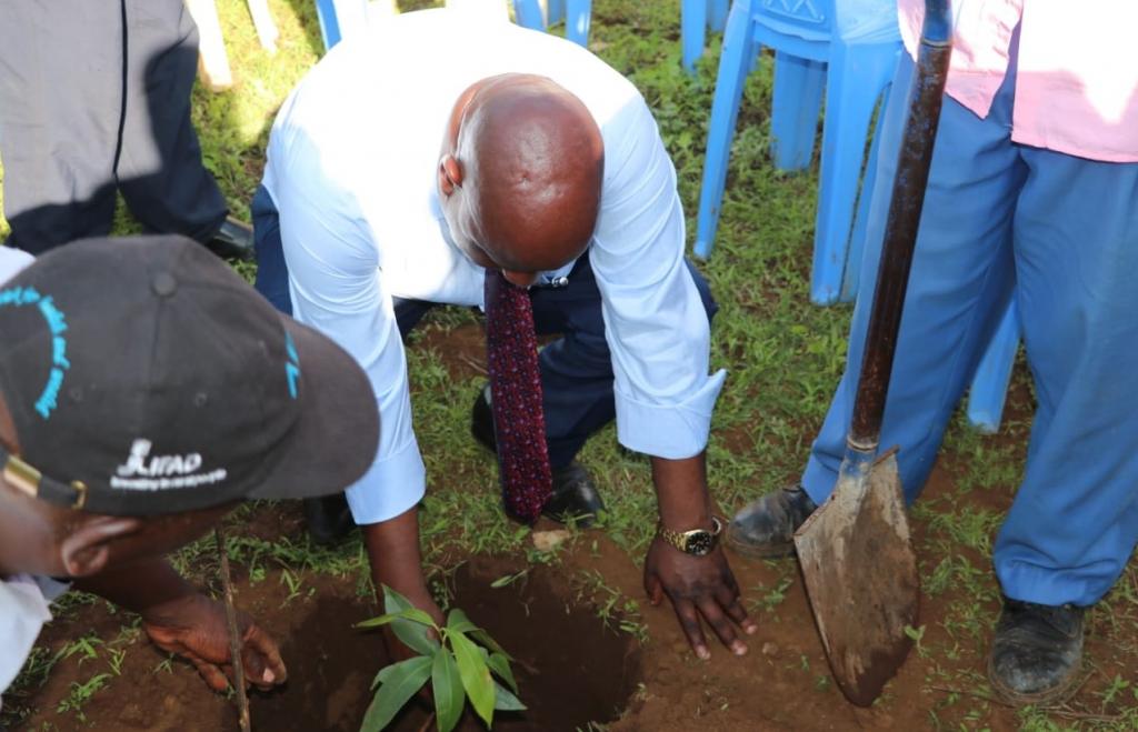 CEC Water leads residents in a tree planting exercise in a bid to protect water catchments.
