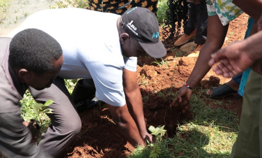 CEC Water leads residents in a tree planting exercise in a bid to protect water catchments.