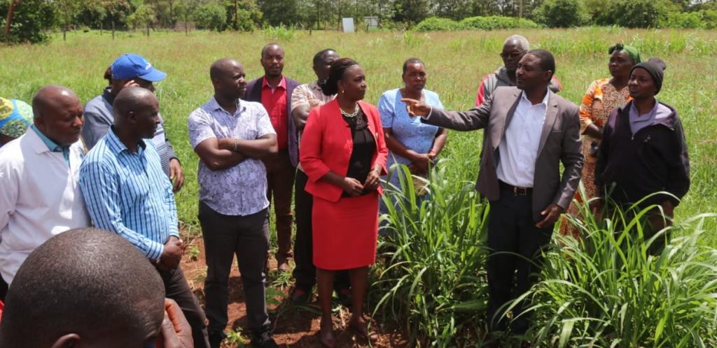 County's new energy to fight animal diseases and feed shortage.