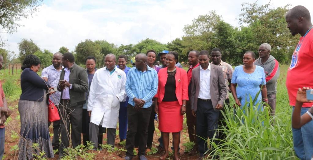 County's new energy to fight animal diseases and feed shortage.