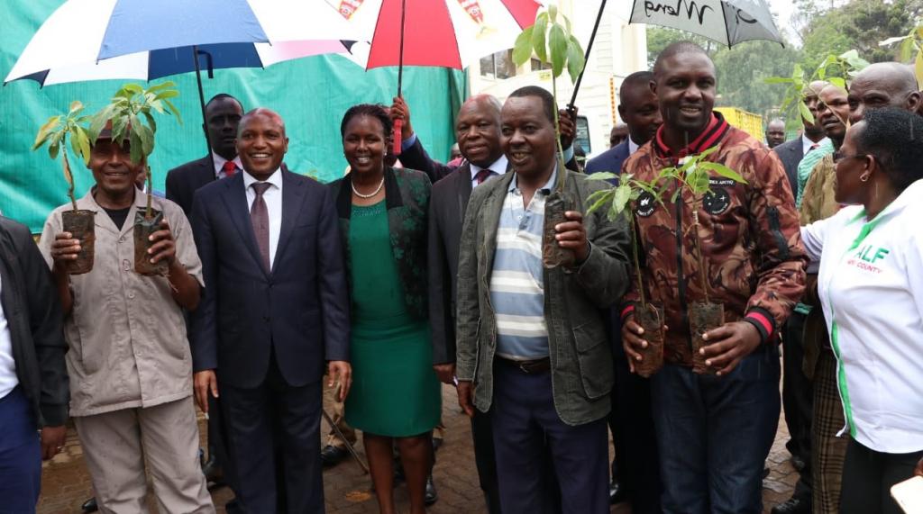 MERU COUNTY GOVERNMENT DISTRIBUTES THE SECOND BATCH OF MACADAMIA AND HASS SEEDLINGS.