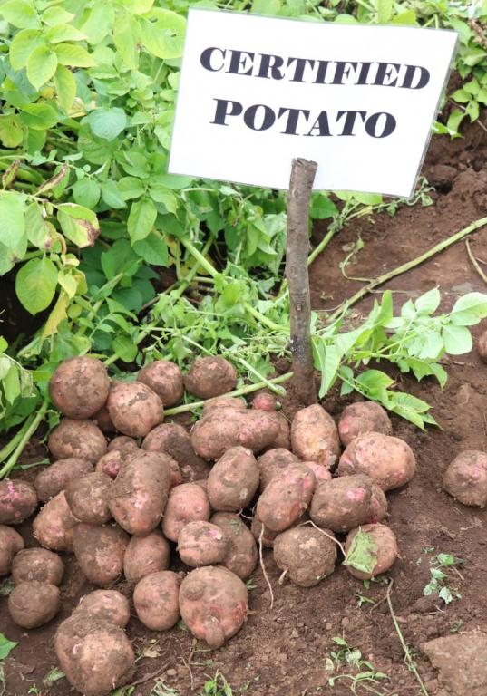 GOVERNOR URGES FARMERS TO TAKE TRAINING PROGRAMS SERIOUSLY.