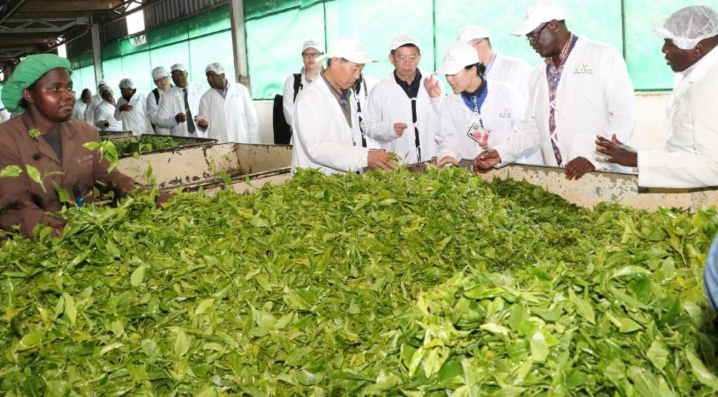 GOVERNOR KIRAITU INTENSIFIES EFFORTS TO OPEN THE VAST CHINESE MARKET FOR MERU TEA.