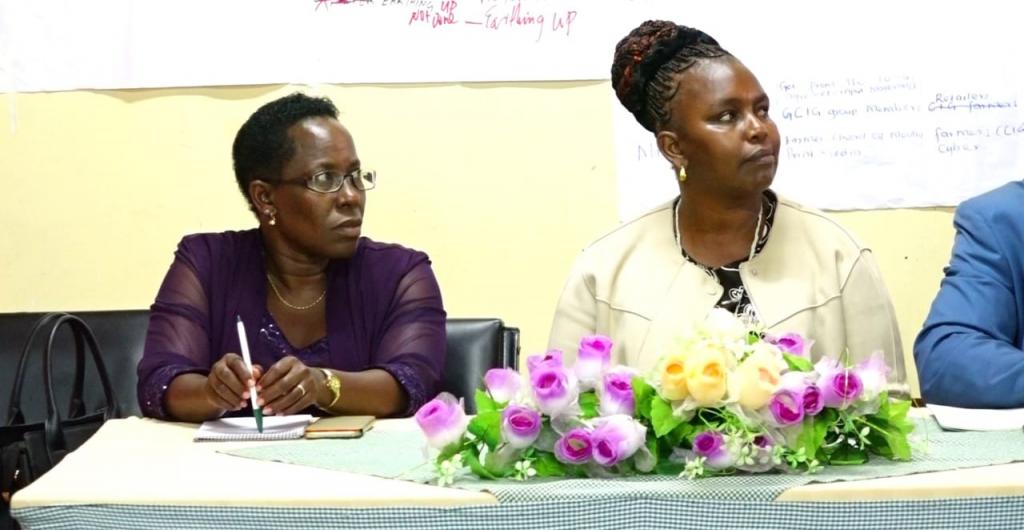 MERU ROOTS FOR AGRICULTURAL VALUE CHAIN ADDITION .