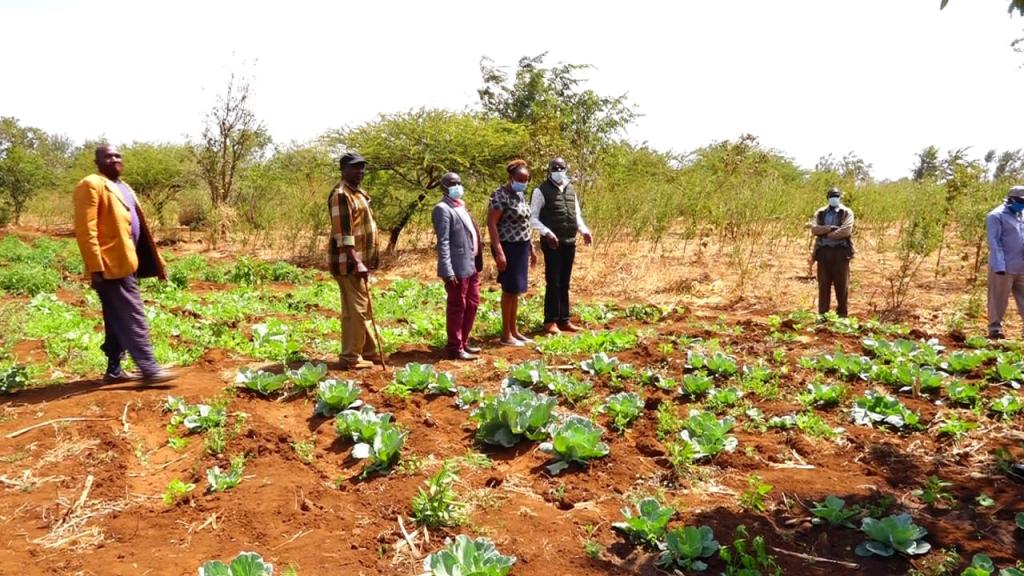 1000 HOMESTEADS BENEFIT FROM WATER IN HOMES THROUGH COMMUNITY BASED MANAGEMENT OF GOVERNMENT BOREHOLES.