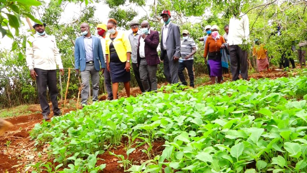COMMUNITY EMPOWERED TO MANAGE BOREHOLES FOR HOME DISTRIBUTION OF WATER.