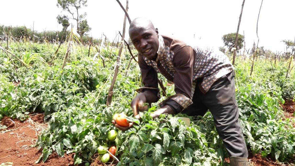 Kiraitu's borehole flagship projects makes transcedent life transformation.