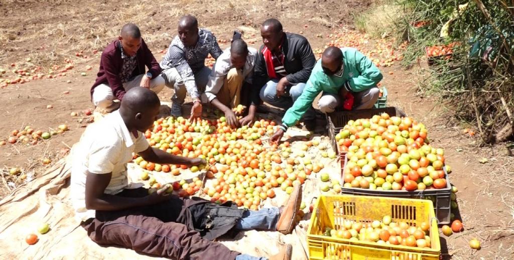 Kiraitu's borehole flagship projects makes transcedent life transformation.