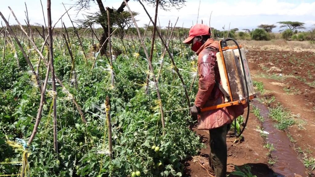 Kiraitu's borehole flagship projects makes transcedent life transformation.