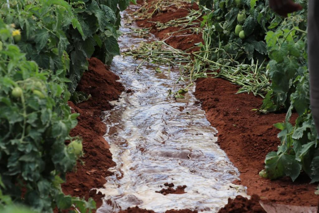 Kiraitu's borehole flagship projects makes transcedent life transformation.