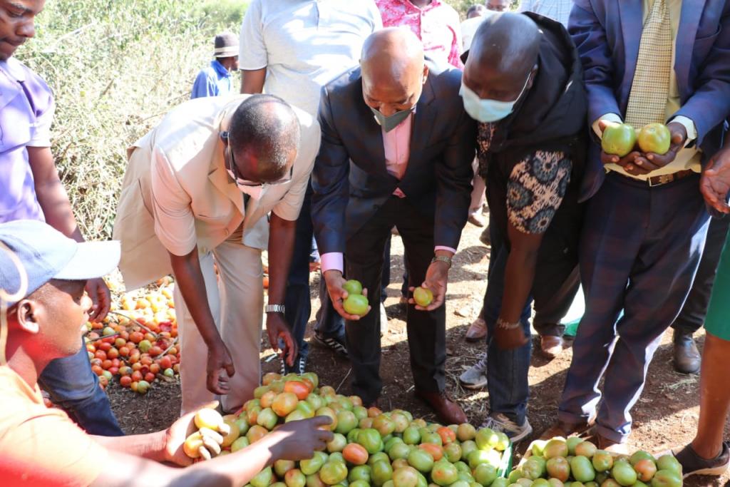 Kiraitu's borehole flagship projects makes transcedent life transformation.