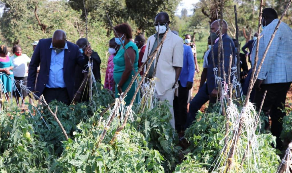 Kiraitu's borehole flagship projects makes transcedent life transformation.
