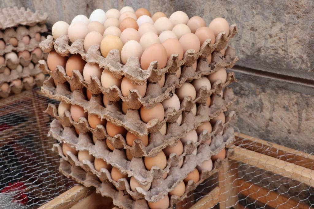 Meru-KOPIA Project To Uplift Rural Chicken And Potato Farmers.