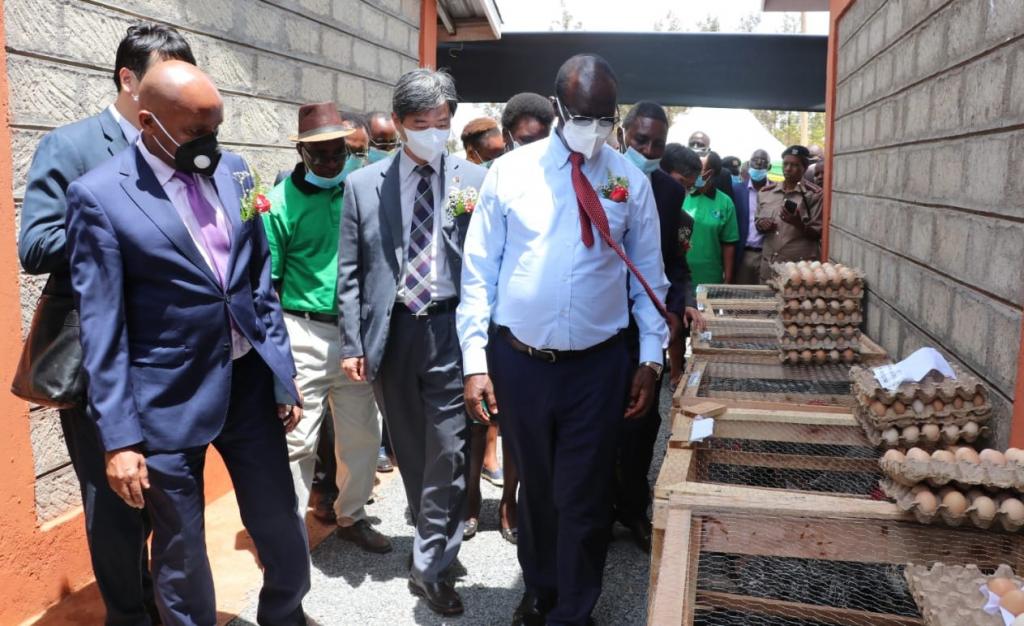 Meru-KOPIA Project To Uplift Rural Chicken And Potato Farmers.
