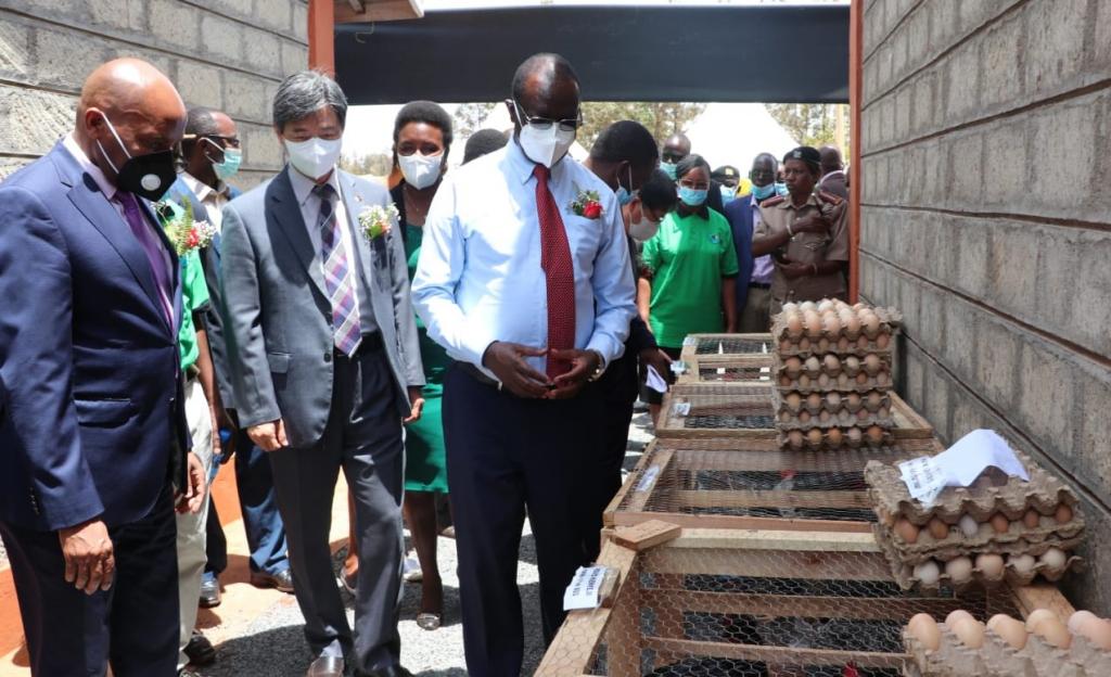 Meru-KOPIA Project To Uplift Rural Chicken And Potato Farmers.