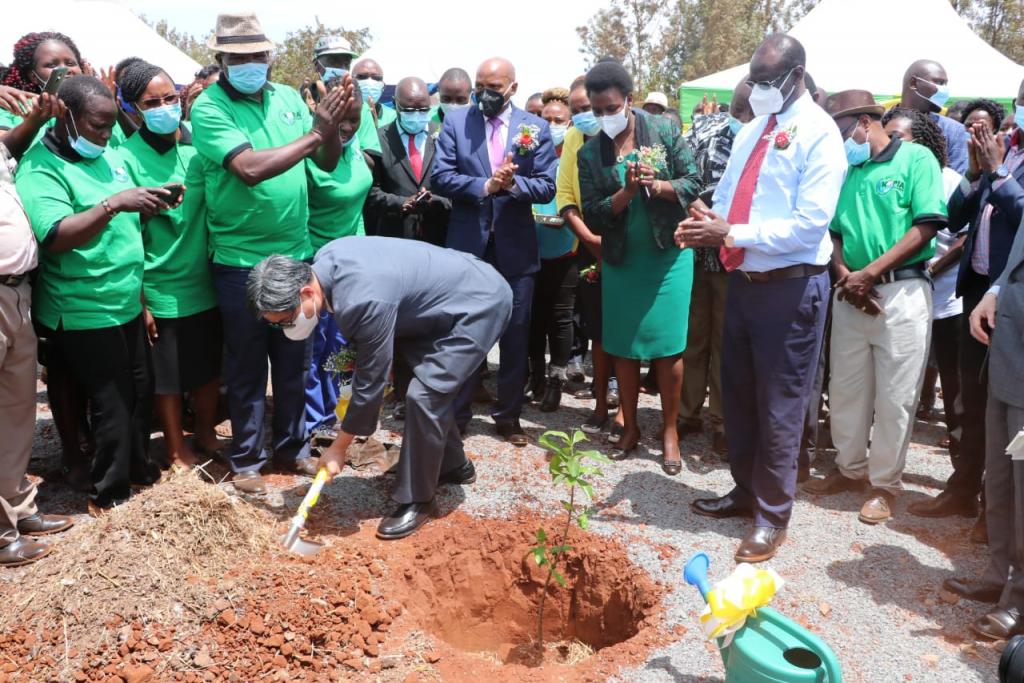 Meru-KOPIA Project To Uplift Rural Chicken And Potato Farmers.