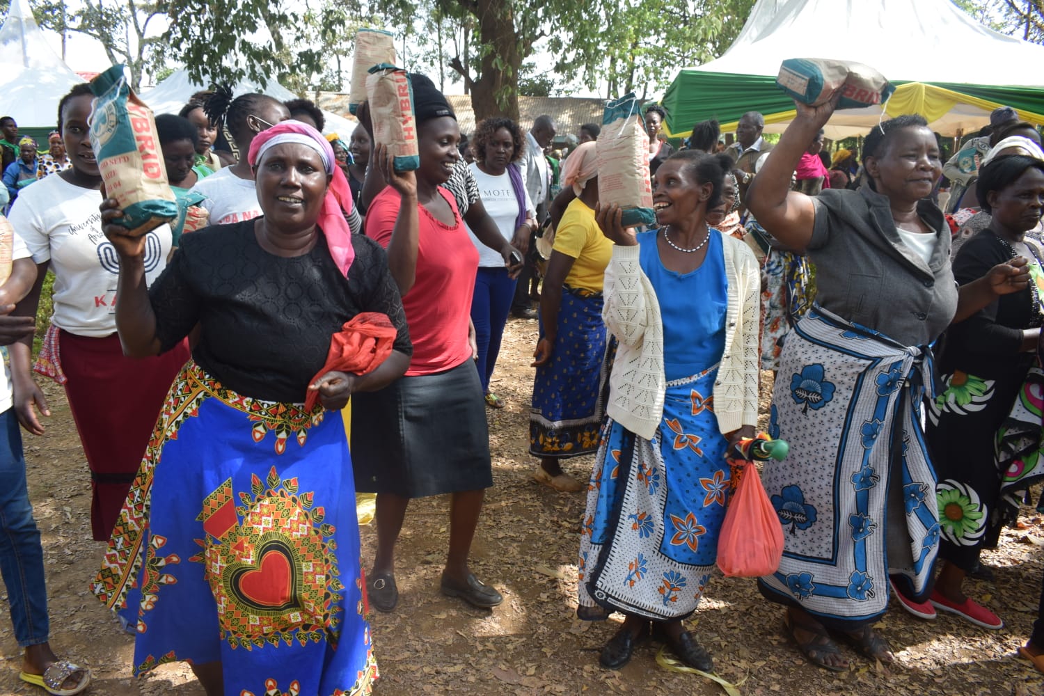 Kiraitu Launches Distribution Of Certified Maize Seeds To Farmers For The Upcoming Rainy Season.