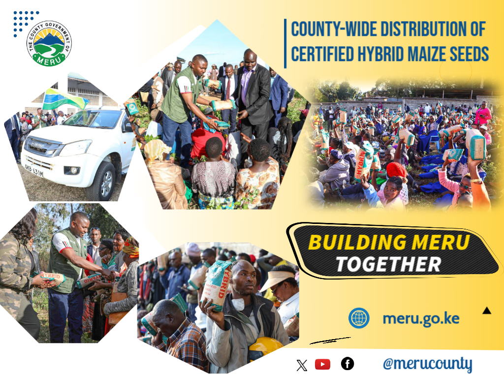 Governor Mutuma Flags Off Distribution of Certified Hybrid Maize Seeds in Meru County