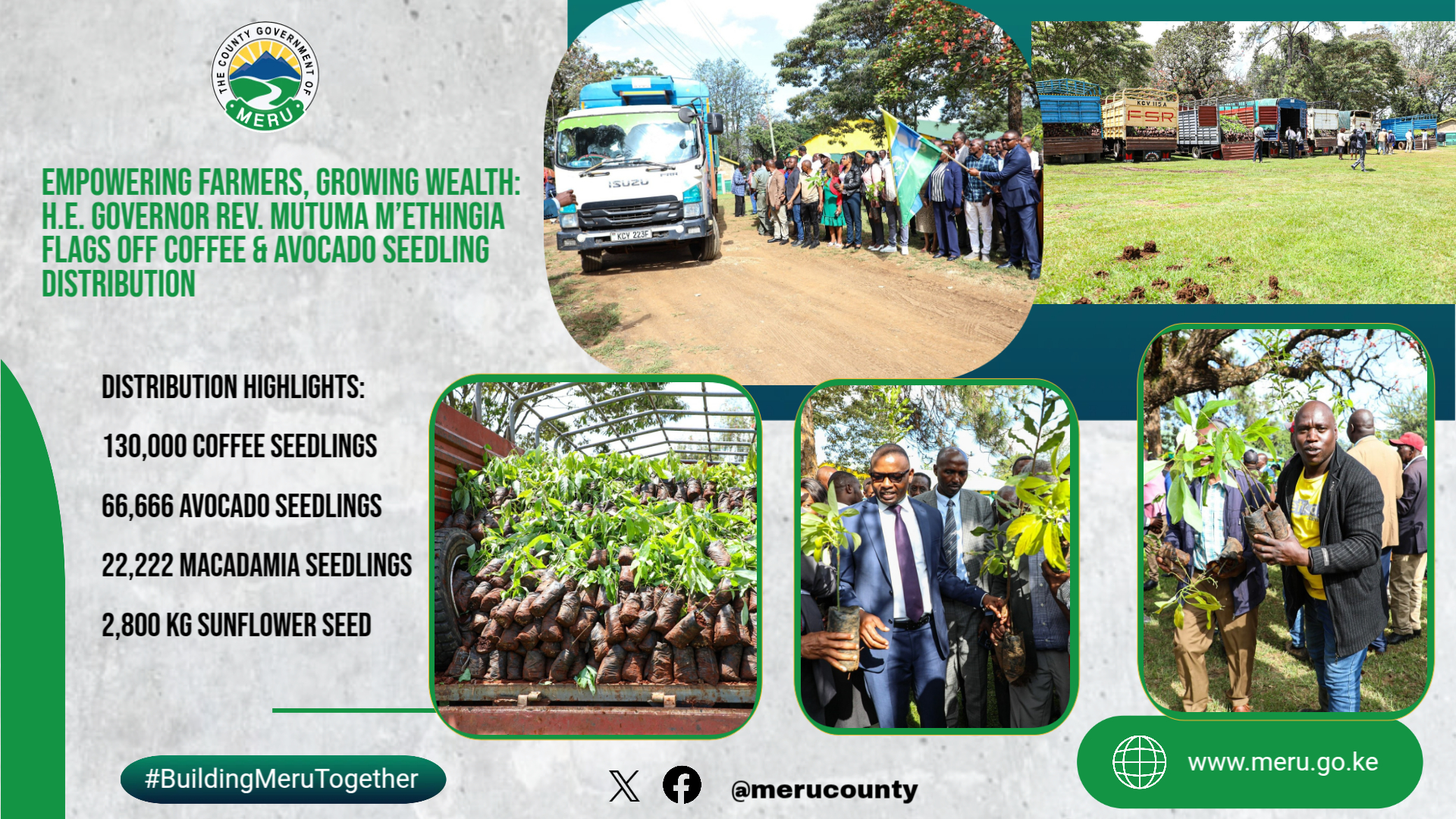 H.E. Governor Rev. Mutuma MEthingia Flags Off Countywide Coffee and Hass Avocado Seedling Distribution