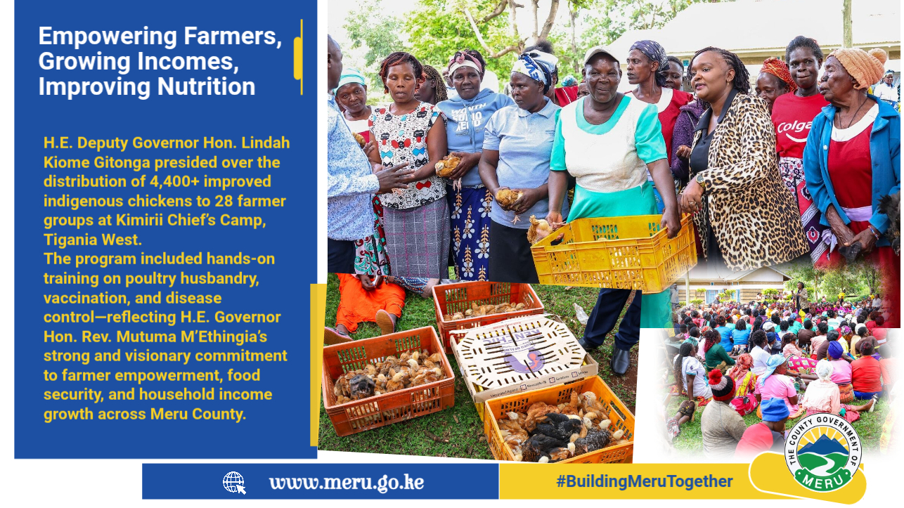 Deputy Governor Lindah Kiome Commissions Poultry Empowerment Programme in Tigania West